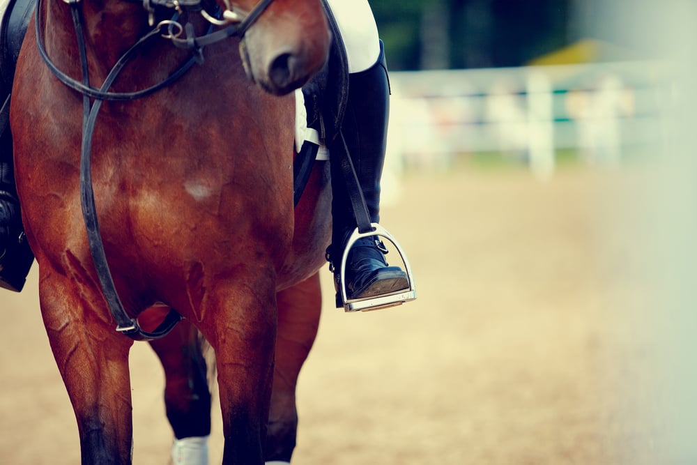 Jockey riding a horse