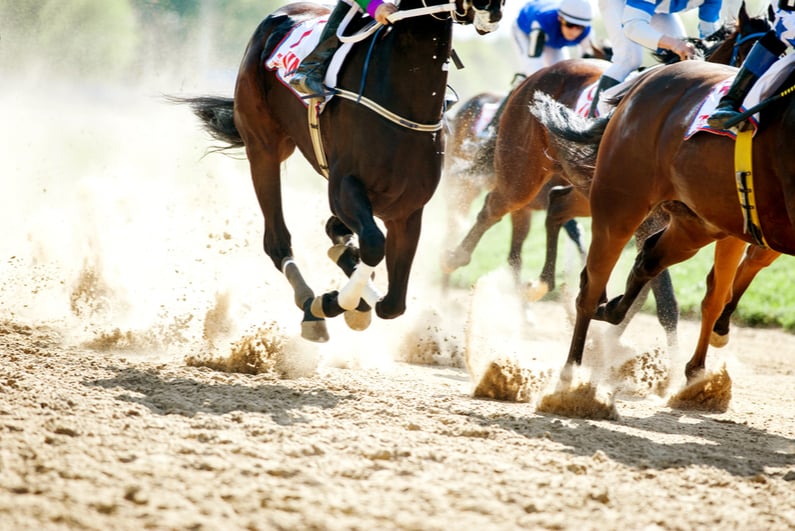 Horses racing